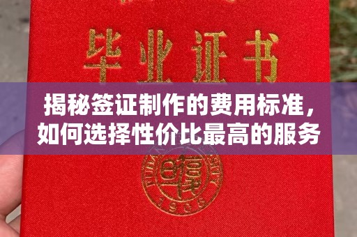 密云揭秘签证制作的费用标准，如何选择性价比最高的服务？