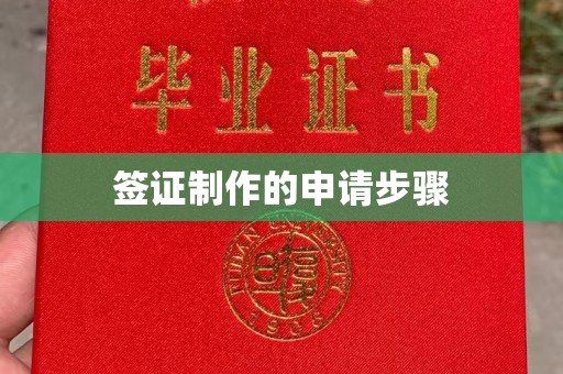 密云签证制作的申请步骤